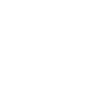 Co168 WAZDAN